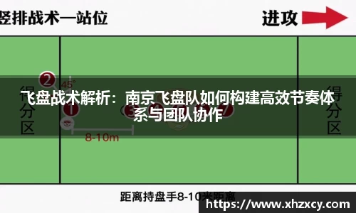 飞盘战术解析：南京飞盘队如何构建高效节奏体系与团队协作