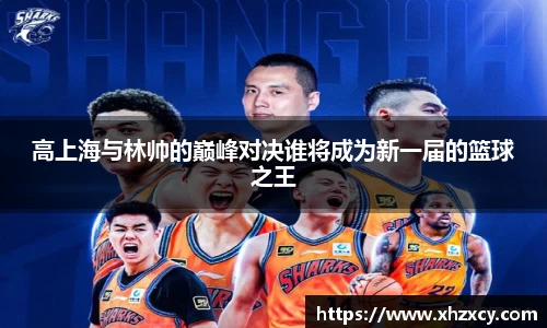 三亿体育登录入口