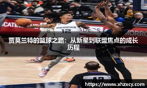 三亿体育登录入口