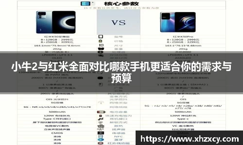 三亿体育登录入口