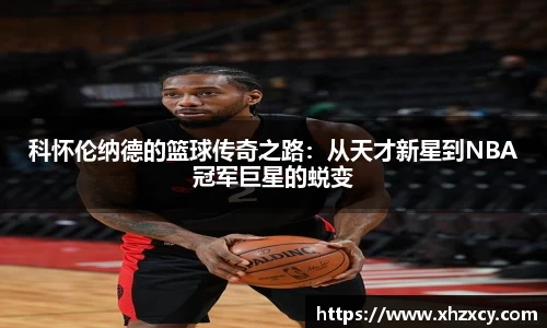 三亿体育官网入口